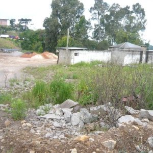 Terreno com 3276m², no bairro Diamantino em Caxias do Sul para Alugar