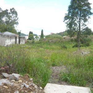 Terreno com 3276m², no bairro Diamantino em Caxias do Sul para Alugar