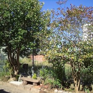 Terreno com 800m², no bairro Sagrada Família em Caxias do Sul para Alugar