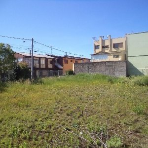 Terreno com 800m², no bairro Sagrada Família em Caxias do Sul para Alugar