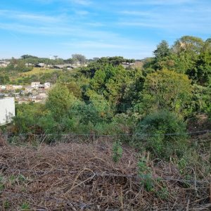 Terreno, no bairro Vila Horn em Caxias do Sul para Comprar
