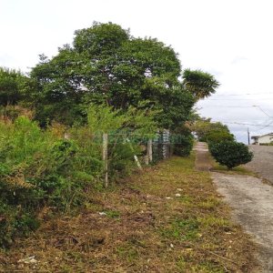 Terreno com 411m², no bairro Cinqüentenário em Caxias do Sul para Alugar