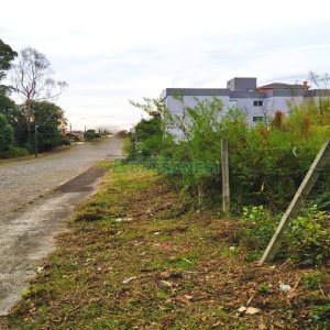 Terreno com 411m², no bairro Cinqüentenário em Caxias do Sul para Alugar