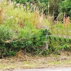 Terreno com 411m², no bairro Cinqüentenário em Caxias do Sul para Alugar