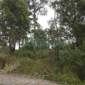 Terreno com 14700m², no bairro Forqueta em Caxias do Sul para Alugar