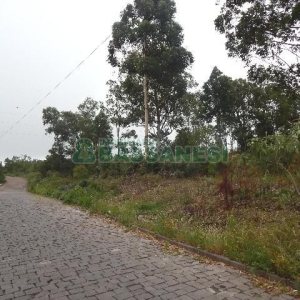 Terreno com 14700m², no bairro Forqueta em Caxias do Sul para Alugar