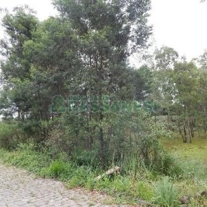 Terreno com 14700m², no bairro Forqueta em Caxias do Sul para Alugar