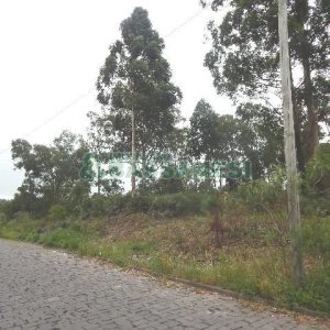 Terreno com 14700m², no bairro Forqueta em Caxias do Sul para Alugar