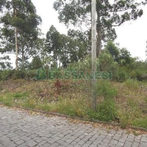 Terreno com 14700m², no bairro Forqueta em Caxias do Sul para Alugar