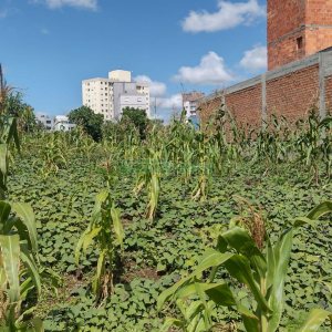 Terreno, no bairro Morada dos Alpes em Caxias do Sul para Comprar