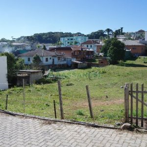 Terreno com 509m², no bairro Ana Rech em Caxias do Sul para Alugar