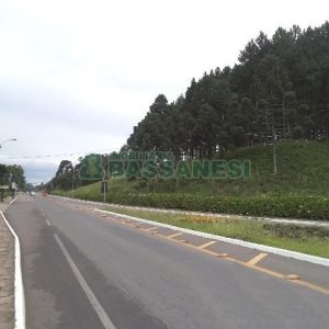 Terreno com 1500m², no bairro Centro em Flores da Cunha para Alugar