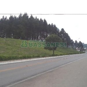 Terreno com 1500m², no bairro Centro em Flores da Cunha para Alugar