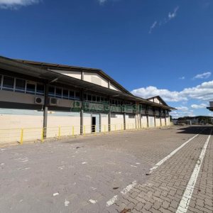 Pavilhão com 3000m², no bairro Cidade Nova em Caxias do Sul para Alugar