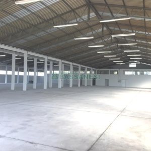 Pavilhão com 3000m², no bairro Cidade Nova em Caxias do Sul para Alugar