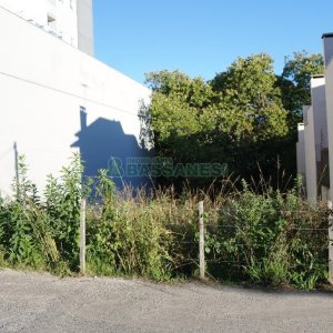 Terreno com 360m², no bairro Vinhedos em Caxias do Sul para Alugar