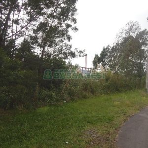 Terreno com 2250m², no bairro Desvio Rizzo em Caxias do Sul para Alugar