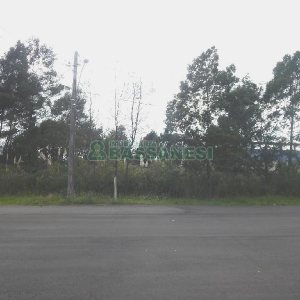 Terreno com 2250m², no bairro Desvio Rizzo em Caxias do Sul para Alugar