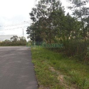 Terreno com 2250m², no bairro Desvio Rizzo em Caxias do Sul para Alugar