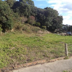 Terreno com 1100m², no bairro Santa Catarina em Caxias do Sul para Alugar
