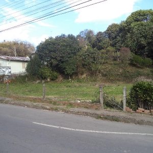 Terreno com 1100m², no bairro Santa Catarina em Caxias do Sul para Alugar