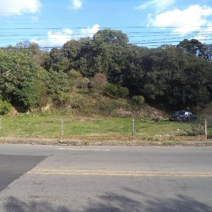 Terreno com 1100m², no bairro Santa Catarina em Caxias do Sul para Alugar