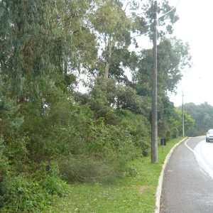 Terreno, no bairro Sanvitto em Caxias do Sul para Comprar
