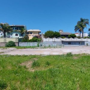 Terreno com 2527m², no bairro Bela Vista em Caxias do Sul para Alugar