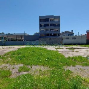 Terreno com 2527m², no bairro Bela Vista em Caxias do Sul para Alugar