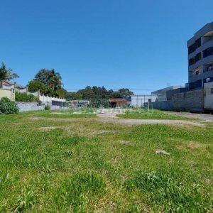 Terreno com 2527m², no bairro Bela Vista em Caxias do Sul para Alugar