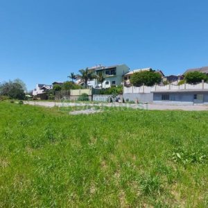 Terreno com 2527m², no bairro Bela Vista em Caxias do Sul para Alugar