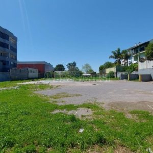 Terreno com 2527m², no bairro Bela Vista em Caxias do Sul para Alugar