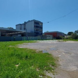 Terreno com 2527m², no bairro Bela Vista em Caxias do Sul para Alugar
