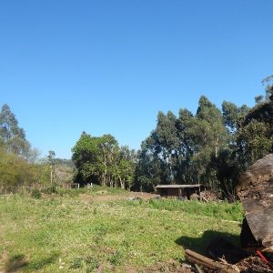 Terreno com 20000m², no bairro Nossa Senhora das Graças em Caxias do Sul para Alugar