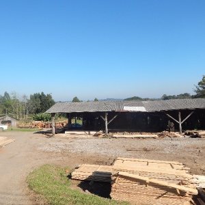 Terreno com 20000m², no bairro Nossa Senhora das Graças em Caxias do Sul para Alugar