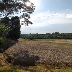Terreno com 20000m², no bairro Nossa Senhora das Graças em Caxias do Sul para Alugar