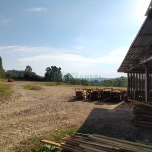 Terreno com 20000m², no bairro Nossa Senhora das Graças em Caxias do Sul para Alugar