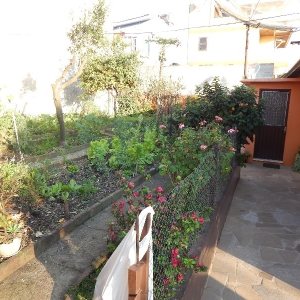 Casa com 190m², 3 dormitórios, 2 vagas, no bairro São Caetano em Caxias do Sul para Comprar