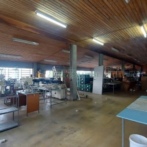 Pavilhão com 985m², no bairro Floresta em Caxias do Sul para Alugar