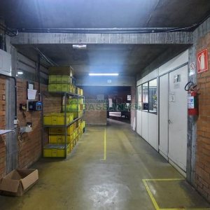 Pavilhão com 985m², no bairro Floresta em Caxias do Sul para Alugar