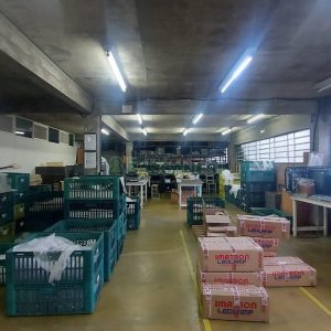 Pavilhão com 985m², no bairro Floresta em Caxias do Sul para Alugar