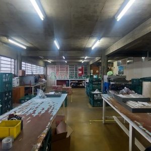 Pavilhão com 985m², no bairro Floresta em Caxias do Sul para Alugar