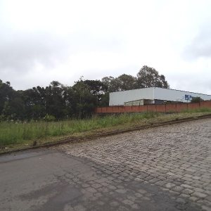 Terreno com 3739m², no bairro Vila Verde em Caxias do Sul para Alugar