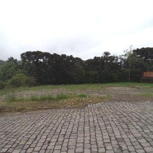 Terreno com 3739m², no bairro Vila Verde em Caxias do Sul para Alugar