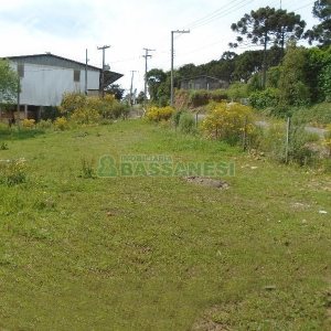 Terreno com 7500m², no bairro Ana Rech em Caxias do Sul para Alugar ou Comprar