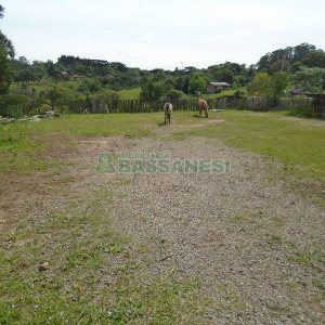 Terreno com 7500m², no bairro Ana Rech em Caxias do Sul para Alugar ou Comprar