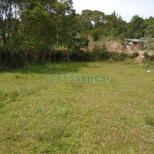 Terreno com 7500m², no bairro Ana Rech em Caxias do Sul para Alugar ou Comprar