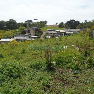 Terreno com 7500m², no bairro Ana Rech em Caxias do Sul para Alugar ou Comprar