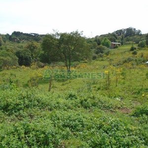 Terreno com 7500m², no bairro Ana Rech em Caxias do Sul para Alugar ou Comprar