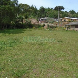 Terreno com 7500m², no bairro Ana Rech em Caxias do Sul para Alugar ou Comprar